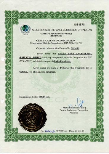 Company incorporation document preview